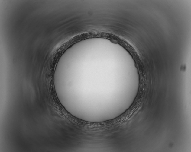 X0000100420919200806060944