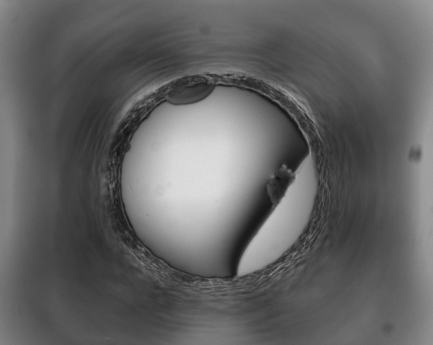 X0000100420920200806060944