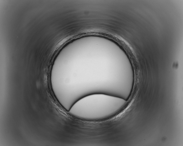 X0000100420921200806060944
