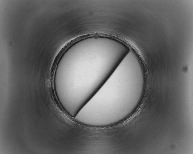 X0000100420924200806060944