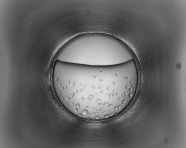 X0000100420925200806060944