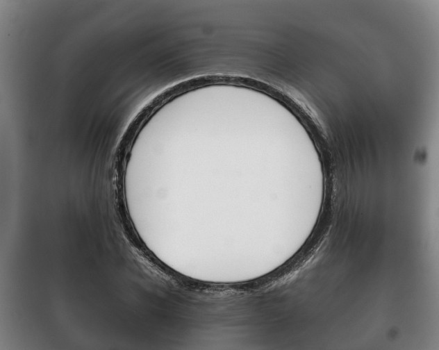 X0000100420926200806060944