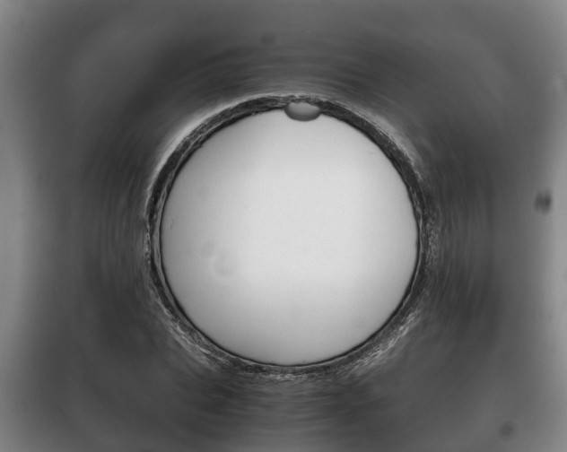 X0000100420927200806060944