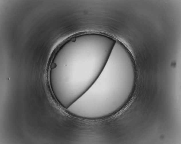 X0000100420928200806060944