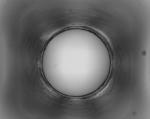 X0000100420929200806060944