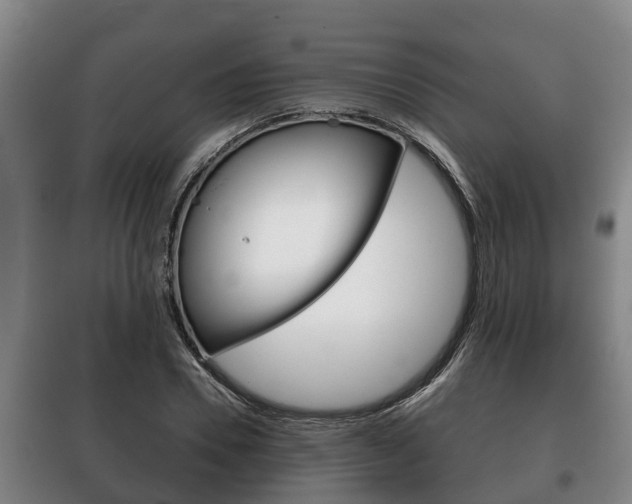 X0000100420930200806060945