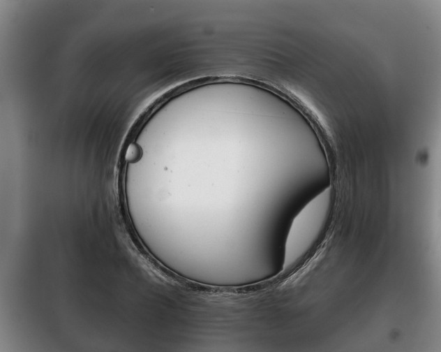 X0000100420932200806060945
