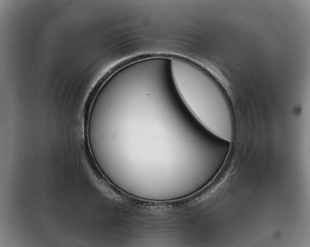 X0000100420934200806060945