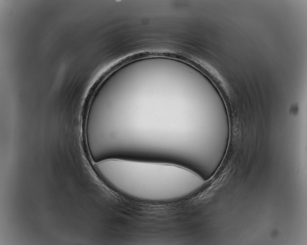 X0000100420935200806060945