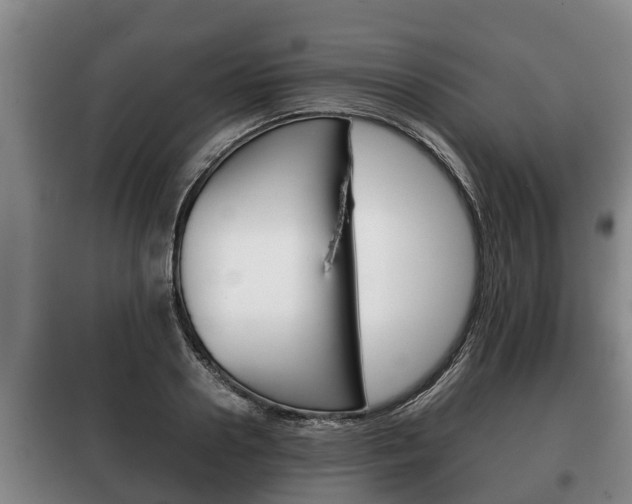 X0000100420938200806060945