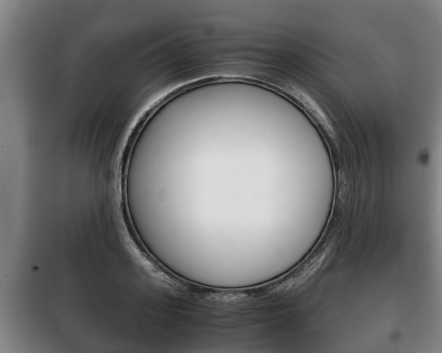 X0000100420939200806060945