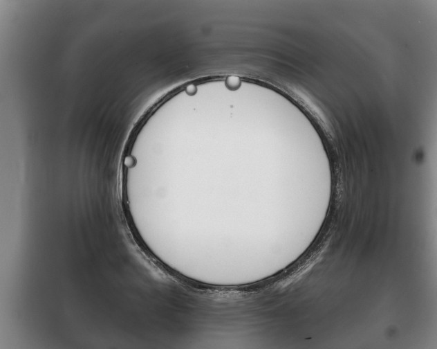 X0000100420940200806060945