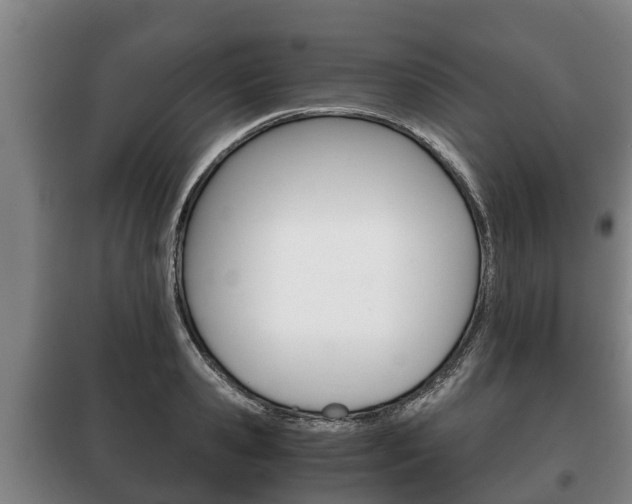 X0000100420941200806060945