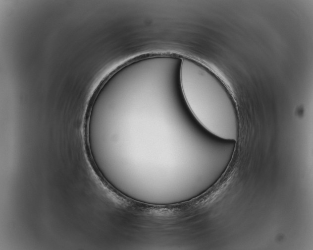 X0000100420943200806060945