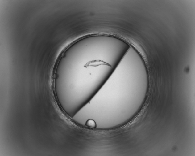 X0000100420944200806060945