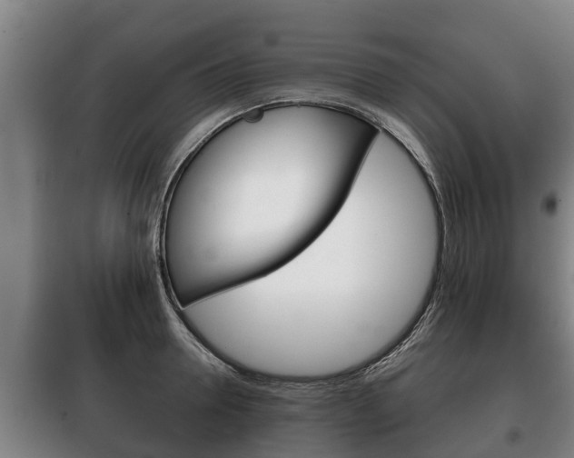 X0000100420946200806060945
