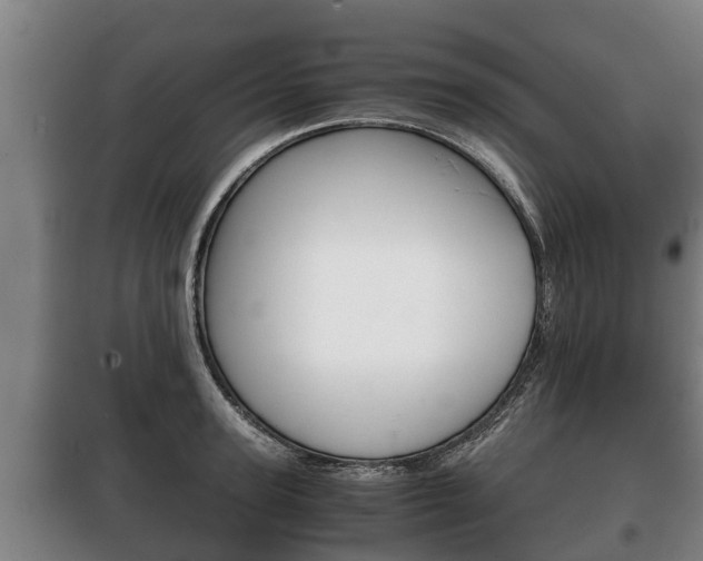X0000100420947200806060945