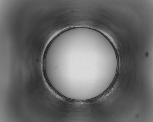 X0000100420949200806060945