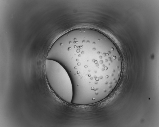 X0000100420953200806060945
