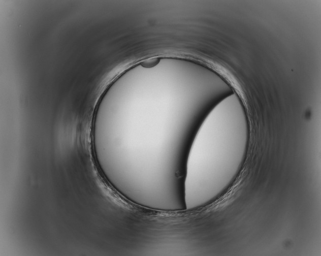 X0000100420954200806060945