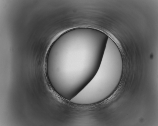 X0000100420956200806060945