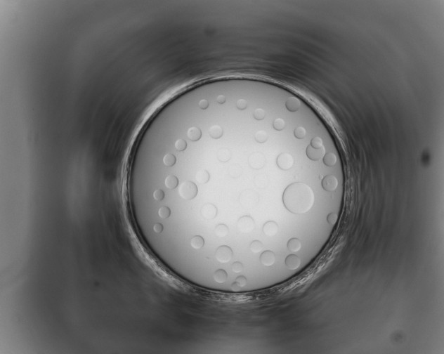 X0000100420957200806060945