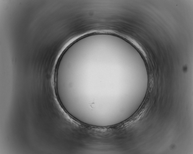 X0000100420959200806060945