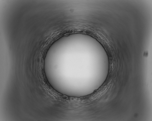 X0000100420961200806060944