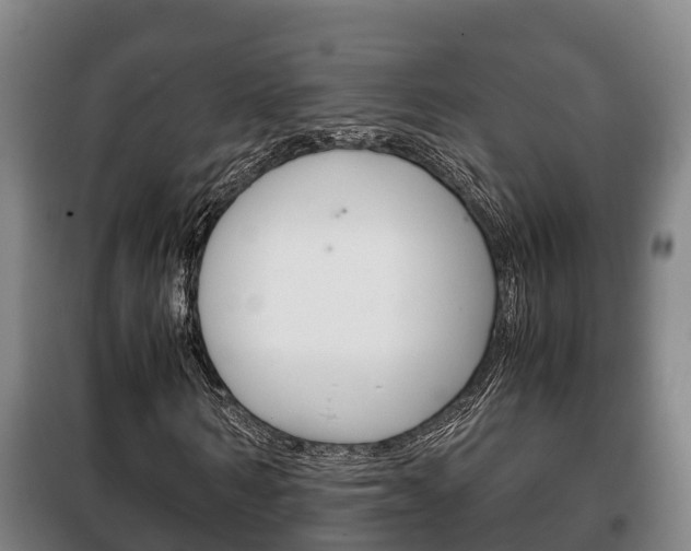 X0000100420962200806060944