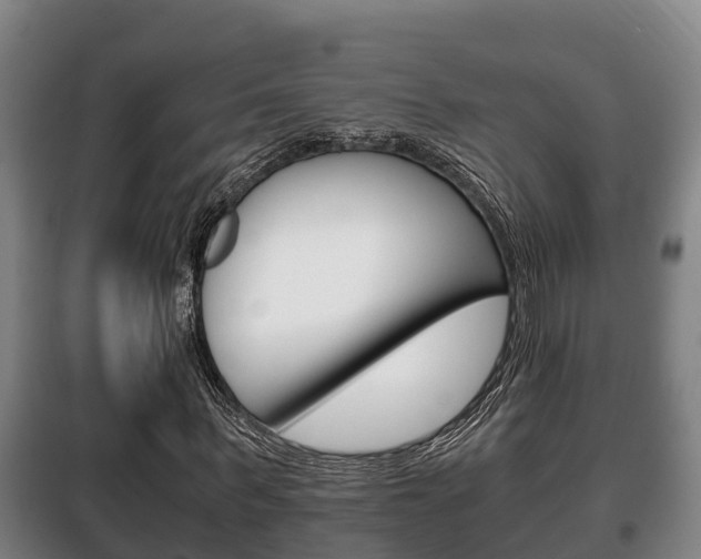 X0000100420963200806060944