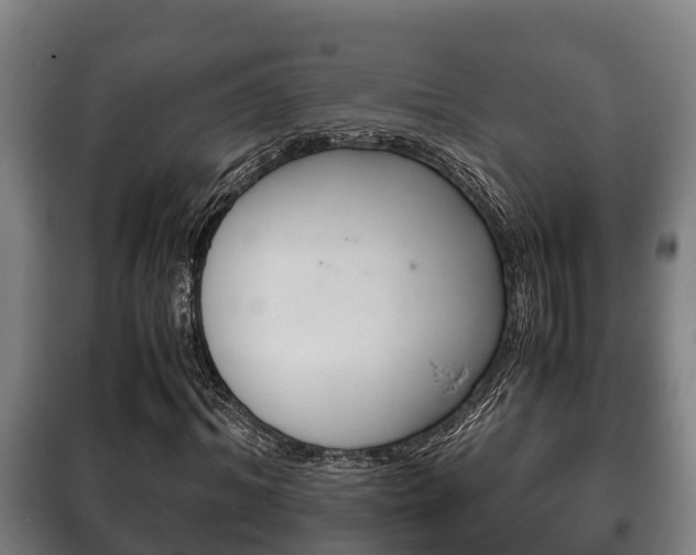 X0000100420964200806060944