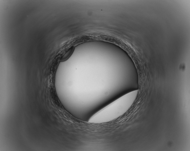X0000100420965200806060944