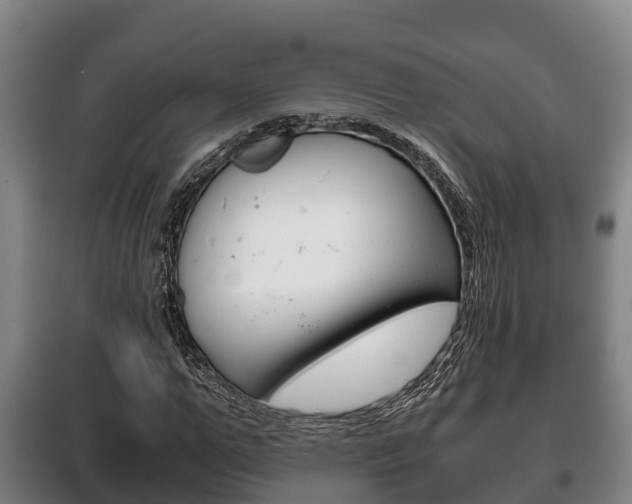 X0000100420967200806060944