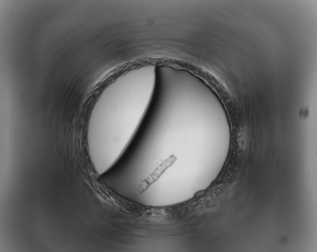 X0000100420968200806060944