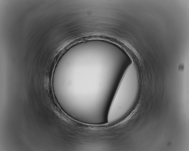 X0000100420969200806060944