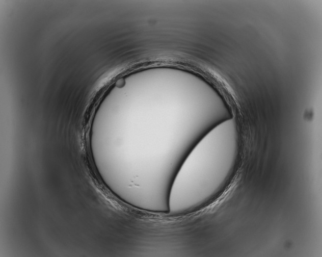 X0000100420970200806060944