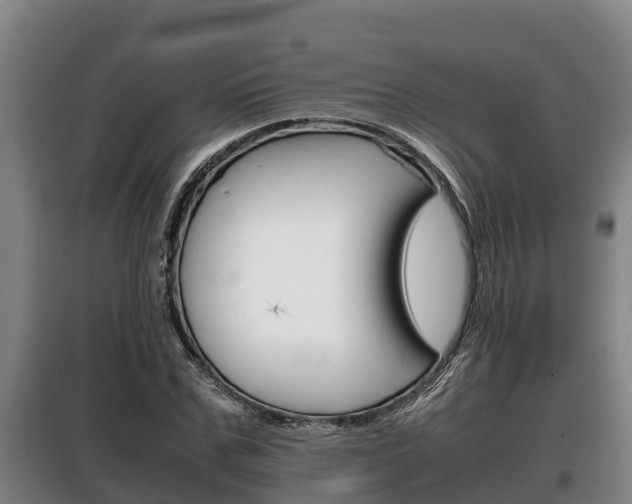 X0000100420971200806060944