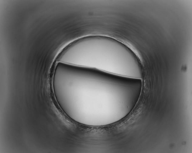 X0000100420972200806060944