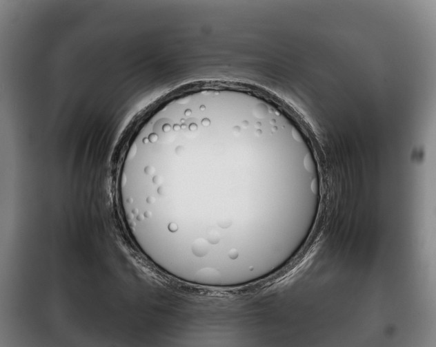 X0000100420974200806060944