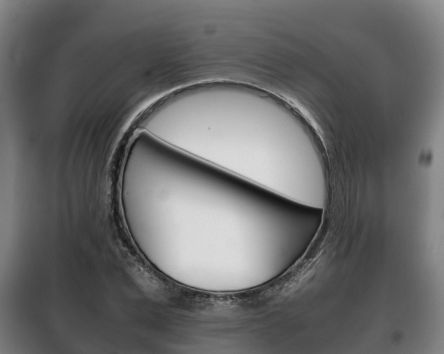 X0000100420975200806060944