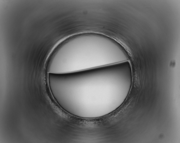 X0000100420976200806060944