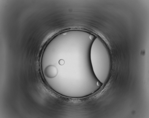X0000100420978200806060944