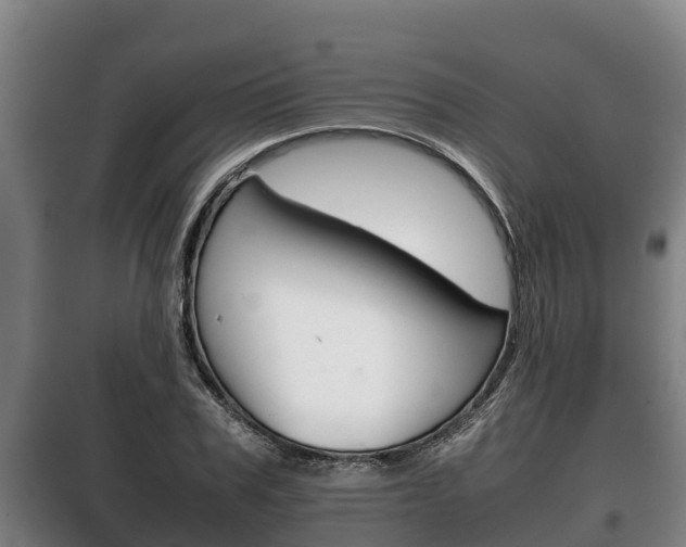 X0000100420979200806060944