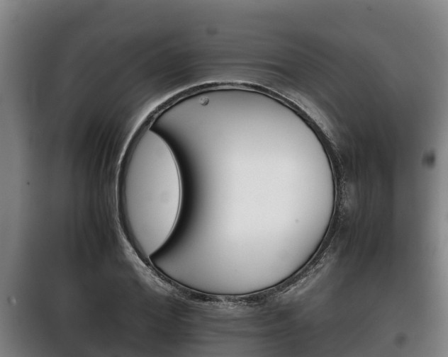 X0000100420980200806060944