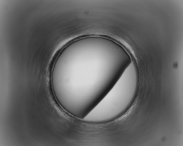 X0000100420981200806060944