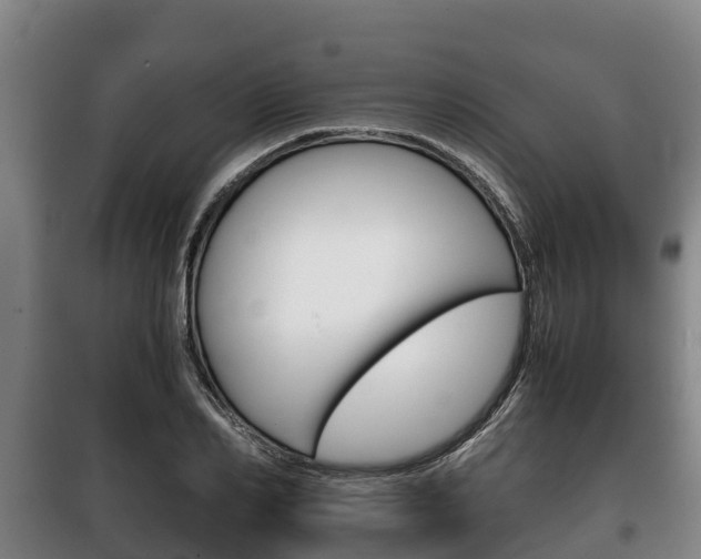X0000100420982200806060944