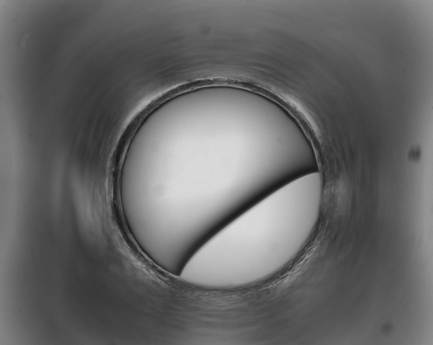 X0000100420983200806060944