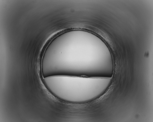X0000100420984200806060944