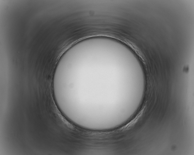 X0000100420985200806060944