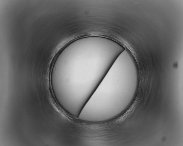 X0000100420986200806060944